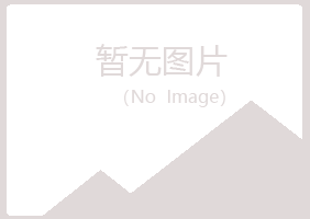 阳曲县初夏化学有限公司